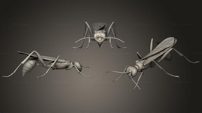 Insects (Insect beetles 92, INSCT_0053) 3D models for cnc